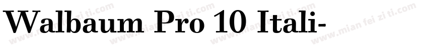 Walbaum Pro 10 Itali字体转换